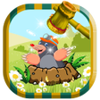 プログラムのアイコン：Crush the Mole