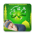 程序图标：Sholawat For Sleeping Bab…