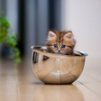 Icon of program: Cute Kitten Wallpapers HD