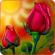 程序图标：Rose Wallpaper