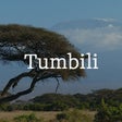 프로그램 아이콘: Tumbili: Mailchimp Signup…