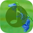 Ícone do programa: Nature Sounds - Nature Mu…