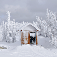 Icon of program: Winter Snow Wallpapers