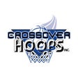 プログラムのアイコン：Crossover Hoops
