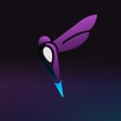 Programın simgesi: Nightflyy