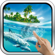 プログラムのアイコン：Magic Touch: Dolphins