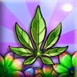 Programın simgesi: CannaFarm: Idle Weed Farm…