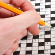 程序图标：Video Crossword