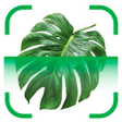 Ícone do programa: PlantBio: Ai Plant Identi…
