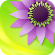 程序图标：Gallery