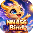 Иконка программы: NN456Bind