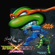 程序图标：Teenage Mutant Ninja Turt…