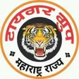 Icon of program: Tiger Group टयगर गरप