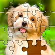 أيقونة البرنامج: Jigsaw Puzzles Pro