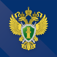أيقونة البرنامج: ГП РФ