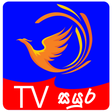 プログラムのアイコン：TV Sayura  ටෙලිනාට්‍ය