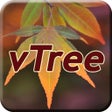 رمز البرنامج: vTree