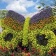 Icon of program: Garden Plants