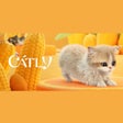 Biểu tượng của chương trình: Catly