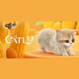 Ícone do programa: Catly
