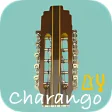 Charango Tuner  Metronome