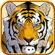 Đọ Tài Long Hổ 3D icon