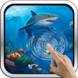 Ícone do programa: Interactive Shark