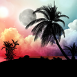 Icon of program: Tropical Night Live Wallp…