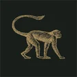 أيقونة البرنامج: Mowgli Club Rewards