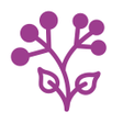 Icon of program: TILA:Calma Meditación y S…