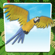 程序图标：Safari World Ar Zoo