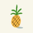 Icoon van programma: Sonder Aloha