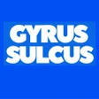 プログラムのアイコン：Gyrus Sulcus