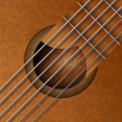 أيقونة البرنامج: Play Virtual Guitar