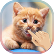 程序图标：Cute Cat Live WallPaper