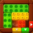 Programikonen: Wood Escape: Block Jam