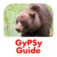 Icono de programa: Canadian Rockies GyPSy Gu…