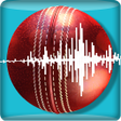 プログラムのアイコン：Snickometer : Cricket Pre…