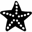 Icon of program: How to draw sea star