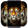 Icono de programa: Animal Wallpaper HD