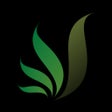 Ícone do programa: Budwiz