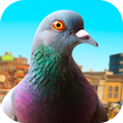 プログラムのアイコン：Pigeon