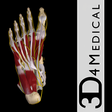 プログラムのアイコン：Ankle & Foot Pro III