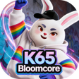 Ikon program: K65 Bloomcore