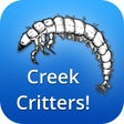 程序图标：Creek Critters