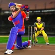 プログラムのアイコン：Play World Cricket League