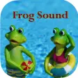 Frog  Sounds - Toad Greenhouse Frog