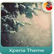 Spruce with snow | Xperia™ Theme