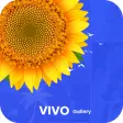 Vivo Gallery - Photo Gallery