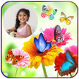 Icon of program: Butterfly Photo Frames